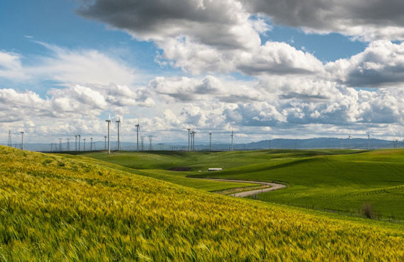 wind farms